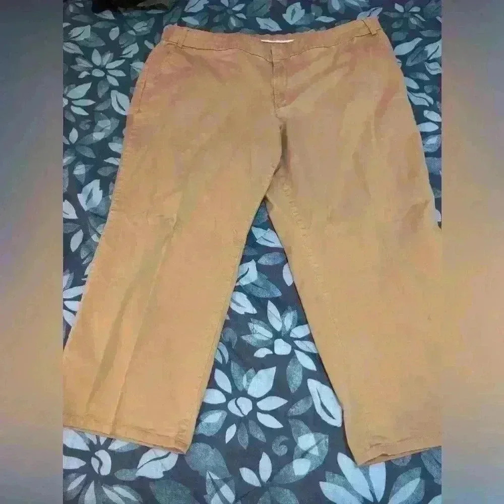 Avenue Stretch size 24 capri pants - Picture 1 of 9